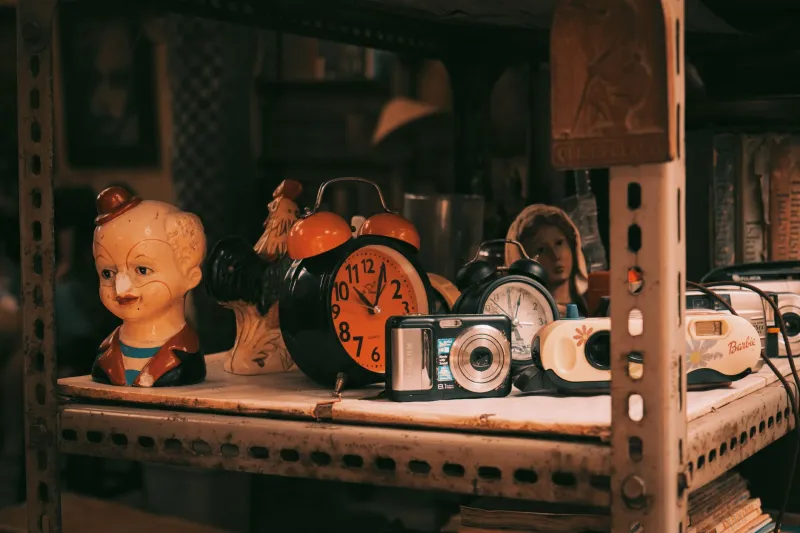 Nerd Alert, But Make It Chic: The Weirdest Hobbies Are Suddenly the Coolest Thing About You